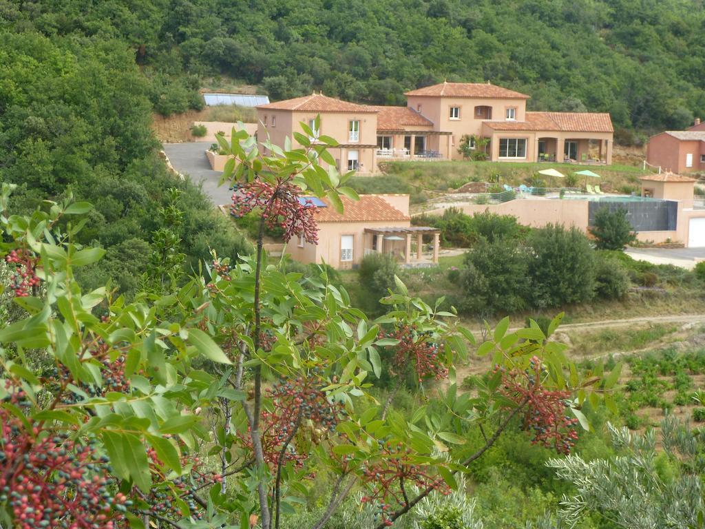 Saint-Jean-de-la-Blaquiere Domaine De Flo Adult A Partir De 16 Ans Bed & Breakfast エクステリア 写真